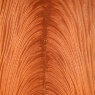 非洲桃花芯树杈 Africa Mahogany Crotch